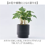 植木鉢 プラスチック 丸型 通販 SK ステップ 15.5xH15 鉢 約 5号 鉢カバー プランター プラポット プランターカバー 植木 ポット 鉢植え おしゃれ 軽量 軽い 観葉植物