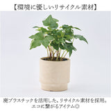 植木鉢 プラスチック 丸型 通販 SK ステップ 15.5xH15 鉢 約 5号 鉢カバー プランター プラポット プランターカバー 植木 ポット 鉢植え おしゃれ 軽量 軽い 観葉植物