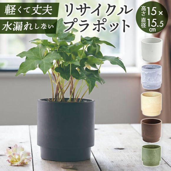 植木鉢 プラスチック 丸型 通販 SK ステップ 15.5xH15 鉢 約 5号 鉢カバー プランター プラポット プランターカバー 植木 ポット 鉢植え おしゃれ 軽量 軽い 観葉植物
