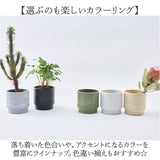 植木鉢 プラスチック 丸型 通販 SK ステップ 15.5xH15 鉢 約 5号 鉢カバー プランター プラポット プランターカバー 植木 ポット 鉢植え おしゃれ 軽量 軽い 観葉植物