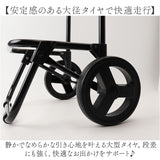 cocoro コ コロ ショッピング カート 通販 ショッピングカート お買い物カート キャリーバッグ キャリーカート クーラーバッグ 保冷バッグ 保冷 保温 2輪 ココロ レップ おしゃれ 約23l