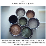 soil ソイル 靴 消臭 入れるだけ L 巾着袋 通販 消臭剤 吸湿剤 吸湿 脱臭剤 脱臭 珪藻土 ドライングサック DRYING SACK クツ ニオイ 湿気 汗 匂い 臭い スニーカー ヒール ブーツ