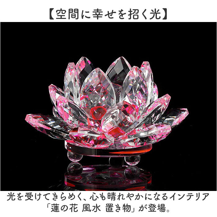 solotus_1_2048x.jpg?v=1751938824