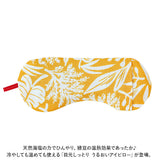 ホット&アイス アイピロー 通販 ソルトアイピロー ホットアイマスク 目元しっとり うるおいアイピロー アイマスク 冷たい 温冷 塩 ホット 電子レンジ おしゃれ かわいい 睡眠 旅行 機内