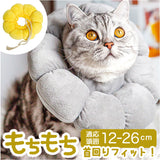 エリザベスカラー ソフト やわらかい 通販 エリザベス カラー 猫 犬 布 術後 傷舐め防止 小型犬 クッション 柔らかい やわらか 女の子 男の子 猫用品 犬用品 ケアグッズ ヘルスケア