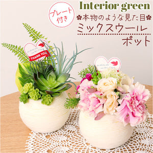 観葉植物 フェイク 小さい 通販 フェイクグリーン アーティフィシャルグリーン インテリアグリーン 人工観葉植物 卓上 小さめ 小型 ミニ 鉢植え ポット おしゃれ かわいい ギフト 母の日