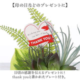 観葉植物 フェイク 小さい 通販 フェイクグリーン アーティフィシャルグリーン インテリアグリーン 人工観葉植物 卓上 小さめ 小型 ミニ 鉢植え ポット おしゃれ かわいい ギフト 母の日