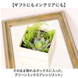 観葉植物 フェイク 小さい 通販 フェイクグリーン 多肉植物 アーティフィシャルグリーン インテリアグリーン 多肉 人工観葉植物 卓上 小さめ 小型 ミニ ボックス 箱入り おしゃれ ギフト