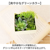 観葉植物 フェイク 小さい 通販 フェイクグリーン 多肉植物 アーティフィシャルグリーン インテリアグリーン 多肉 人工観葉植物 卓上 小さめ 小型 ミニ ボックス 箱入り おしゃれ ギフト
