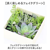 観葉植物 フェイク 小さい 通販 フェイクグリーン 多肉植物 アーティフィシャルグリーン インテリアグリーン 多肉 人工観葉植物 卓上 小さめ 小型 ミニ ボックス 箱入り おしゃれ ギフト