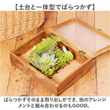 観葉植物 フェイク 小さい 通販 フェイクグリーン 多肉植物 アーティフィシャルグリーン インテリアグリーン 多肉 人工観葉植物 卓上 小さめ 小型 ミニ ボックス 箱入り おしゃれ ギフト