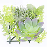 観葉植物 フェイク 小さい 通販 フェイクグリーン 多肉植物 アーティフィシャルグリーン インテリアグリーン 多肉 人工観葉植物 卓上 小さめ 小型 ミニ ボックス 箱入り おしゃれ ギフト