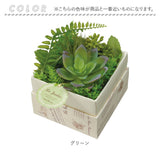 観葉植物 フェイク 小さい 通販 フェイクグリーン 多肉植物 アーティフィシャルグリーン インテリアグリーン 多肉 人工観葉植物 卓上 小さめ 小型 ミニ ボックス 箱入り おしゃれ ギフト