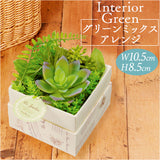 観葉植物 フェイク 小さい 通販 フェイクグリーン 多肉植物 アーティフィシャルグリーン インテリアグリーン 多肉 人工観葉植物 卓上 小さめ 小型 ミニ ボックス 箱入り おしゃれ ギフト