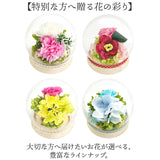 プリザーブドフラワー 仏花 ガラスドーム 通販 ガラス ドーム プリザーブド フラワー フラワーアレンジメント 和風スフィアガラスドーム 供花 アレンジメント お供え花 法事 お彼岸