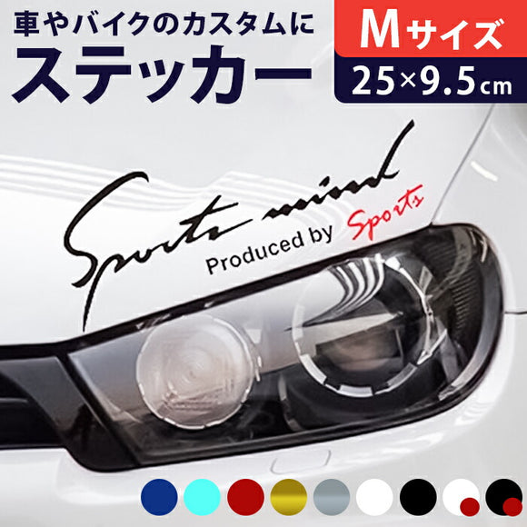 車 ステッカー おしゃれ 通販 Mサイズ 約9.5×25cm 車に貼るステッカー カッティングシート 外装 カーアクセサリー アクセサリー クルマ サイド ボンネット リア シール デカール