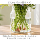 銅のフラワーライフリーフ 通販 リーフ 3枚入 花瓶 花器 フラワーベース copper 銅 花 長持ち 切り花 植物 生花 shesay シセイ アンティーク風 ディスプレイ インテリア シンプル ギフト
