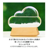 ストームグラス クラウド 通販 ガラス 雑貨 気象計 天気 おしゃれ サイエンス 科学 結晶 ディスプレイ小物 Fun Science 333-274 オブジェ 置き物 インテリア雑貨 インテリア小物 置物