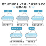 ストームグラス クラウド 通販 ガラス 雑貨 気象計 天気 おしゃれ サイエンス 科学 結晶 ディスプレイ小物 Fun Science 333-274 オブジェ 置き物 インテリア雑貨 インテリア小物 置物