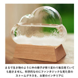 ストームグラス クラウド 通販 ガラス 雑貨 気象計 天気 おしゃれ サイエンス 科学 結晶 ディスプレイ小物 Fun Science 333-274 オブジェ 置き物 インテリア雑貨 インテリア小物 置物