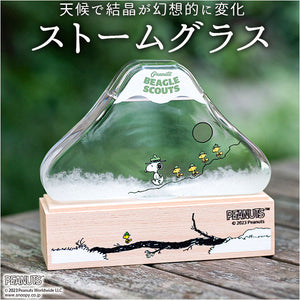 スヌーピー ストームグラス 通販 ストーム グラス フィッツロイの気象計 天気管 気象管 天気 天候 気温 結晶 おしゃれ ナチュラル かわいい PEANUTS ピーナッツ 151-333PS2302