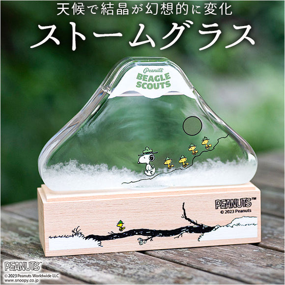 スヌーピー ストームグラス 通販 ストーム グラス フィッツロイの気象計 天気管 気象管 天気 天候 気温 結晶 おしゃれ ナチュラル かわいい PEANUTS ピーナッツ 151-333PS2302
