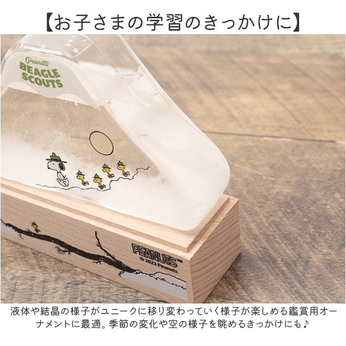出品者さま専用 確認用 (ヤフオクの送料の決め方は?落札者負担 出品者さま専用 確認用 (ヤフオクの送料の決め方は?落札者負担
