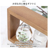 茶谷産業 温度計 ストームグラス 通販 温度計＆ストームグラス 置物 卓上 オブジェ 飾り オーナメント デコレーション サイエンス 科学 ブラウン おしゃれ かわいい ギフト 贈り物