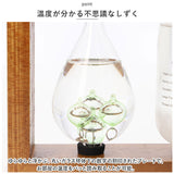 茶谷産業 温度計 ストームグラス 通販 温度計＆ストームグラス 置物 卓上 オブジェ 飾り オーナメント デコレーション サイエンス 科学 ブラウン おしゃれ かわいい ギフト 贈り物
