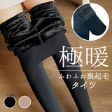 裏起毛 タイツ レディース 通販 裏起毛タイツ インナー レッグウェア レッグウエア 防寒 暖かい 秋冬 あったか 通学 通勤 冷え対策 女性 無地 シンプル インナーウエア おしゃれ dng-005