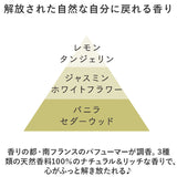 リードディフューザー フレグランス 通販 ディフューザー ルームフレグランス 香り ガラス 入れ物付き ガラス容器 天然香料 天然 香料 TOLEWA トレワ フランス製 ギフト 贈り物 モダン