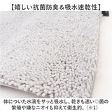 SDS バスマット 35×50 通販 足拭きマット 足ふきマット バス マット 小さめ おふろマット お風呂マット 足元マット 浴室マット 洗える 洗濯 吸水 速乾 抗菌防臭 おしゃれ シンプル