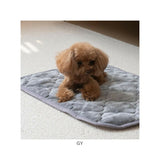 ペット用 パッド M 通販 犬用マット ペット用マット ペットマット ペットパッド ペット用パッド 敷きパッド マット フランネル 寒さ対策 防寒対策 ペット 犬 いぬ 滑り止め すべり止め
