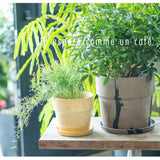 植木鉢 プラスチック おしゃれ 6号 通販 鉢カバー 6号鉢 プランター プランターカバー 植木 ポット 鉢植え アーバンプランツポット 軽量 軽い 丈夫 観葉植物 鉢 受け皿付き 底穴あり PLUS