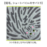 今治タオル ハンカチ 25cm×25cm 通販 日本製 プレーリードッグ UNJ-80 毛並みハンカチ タオルハンカチ ハンドタオル ハンカチタオル 猫 ねこ 刺繍 かわいい おしゃれ uchinoko