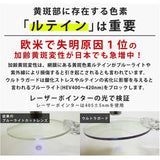 オーバーグラス サングラス 通販 ーバーサングラス レディース 光対策 眼鏡 めがね メガネ 花粉対策 昼夜兼用 登山 アウトドア ドライブ 運転 オシャレ おしゃれ 眼鏡の上