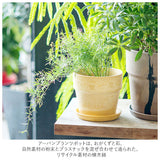 植木鉢 プラスチック お洒落 4号 通販 プランター おしゃれ 植木 鉢 ポット 花鉢 4号鉢 プラスチック製鉢 かわいい 可愛い 軽量 軽い 直径 13.5cm アーバンプランツポット ４号 マーブル