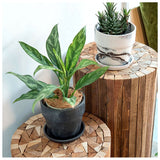 植木鉢 プラスチック お洒落 4号 通販 プランター おしゃれ 植木 鉢 ポット 花鉢 4号鉢 プラスチック製鉢 かわいい 可愛い 軽量 軽い 直径 13.5cm アーバンプランツポット ４号 マーブル