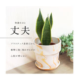 植木鉢 プラスチック おしゃれ 5号 通販 鉢カバー 5号鉢 プランター プランターカバー 植木 ポット 鉢植え アーバンプランツポット 軽量 軽い 観葉植物 鉢 受け皿付き 底穴あり PLUS the