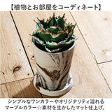 植木鉢 おしゃれ 受け皿付き 通販 鉢カバー 4号 鉢 プラスチック プランター プランターカバー 植木 ポット 鉢植え アーバンプランツポット 軽量 軽い 観葉植物 底穴あり 花 植物 園芸
