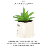 光触媒 観葉植物 卓上 通販 じょうろ フェイクグリーン ミニ おしゃれ 造花 ギフト プチギフト 贈り物 かわいい 消臭 抗菌 抗カビ 母の日 置物 インテリア