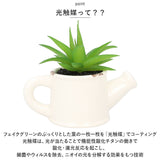 光触媒 観葉植物 卓上 通販 じょうろ フェイクグリーン ミニ おしゃれ 造花 ギフト プチギフト 贈り物 かわいい 消臭 抗菌 抗カビ 母の日 置物 インテリア