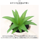 光触媒 観葉植物 卓上 通販 じょうろ フェイクグリーン ミニ おしゃれ 造花 ギフト プチギフト 贈り物 かわいい 消臭 抗菌 抗カビ 母の日 置物 インテリア