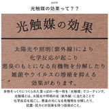 光触媒 造花 通販 フェイクグリーン イミテーション 消臭 抗菌 花 フラワー 木目柄 陶器 ラウンドポット 一輪挿し 花瓶 インテリアグリーン 植物 飾る 飾り インテリアプランツ おしゃれ