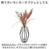 花瓶 一輪挿し 通販 フラワーベース おしゃれ ワイヤーベース 花びん かびん 花器 スリム welms. ウェルムス オブジェ 花 かわいい 母の日 置き物 置物 インテリア 雑貨 リビング GLOBAL