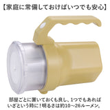 懐中電灯 電池式 通販 ハンディライト 単1 単2 単3 単4 置き型 ハンディ 強 弱 点滅 2WAY 電池1本 おしゃれ オシャレ シンプル アウトドア キャンプ 夜釣り 防災用 防災グッズ 停電