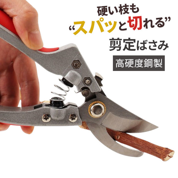 剪定ばさみ 通販 枝切りバサミ 剪定鋏 ハサミ はさみ 園芸ばさみ 園芸 ガーデニング 剪定バサミ 枝切りばさみ 持ち運び 剪定 庭木 草木 枝切り 生花断裁 多機能 家庭菜園 雑草駆除