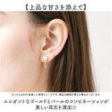 アイスクリーム ピアス 通販 アイスクリームピアス アイスイヤリング イヤリング 耳飾り アクセサリー レディースアクセサリー レディースジュエリー アイスクリーム型 大人 レディース