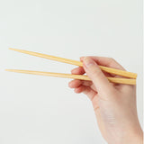 箸箱セット 通販 日本製 抗菌 箸箱 セット 大人 箸 木製 お箸 お箸セット カノー やさしい彩り 携帯お箸 携帯箸 18cm 携帯用箸 携帯用箸セット 箸ケース 食洗機対応 男性 女性 弁当