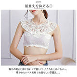 つけ襟 レース 通販 付け襟 襟 フェイク襟 重ね着 レイヤード つけ衿 付け衿 襟元 レディース 上品 かわいい おしゃれ コーデ コーディネート 大人 可愛い